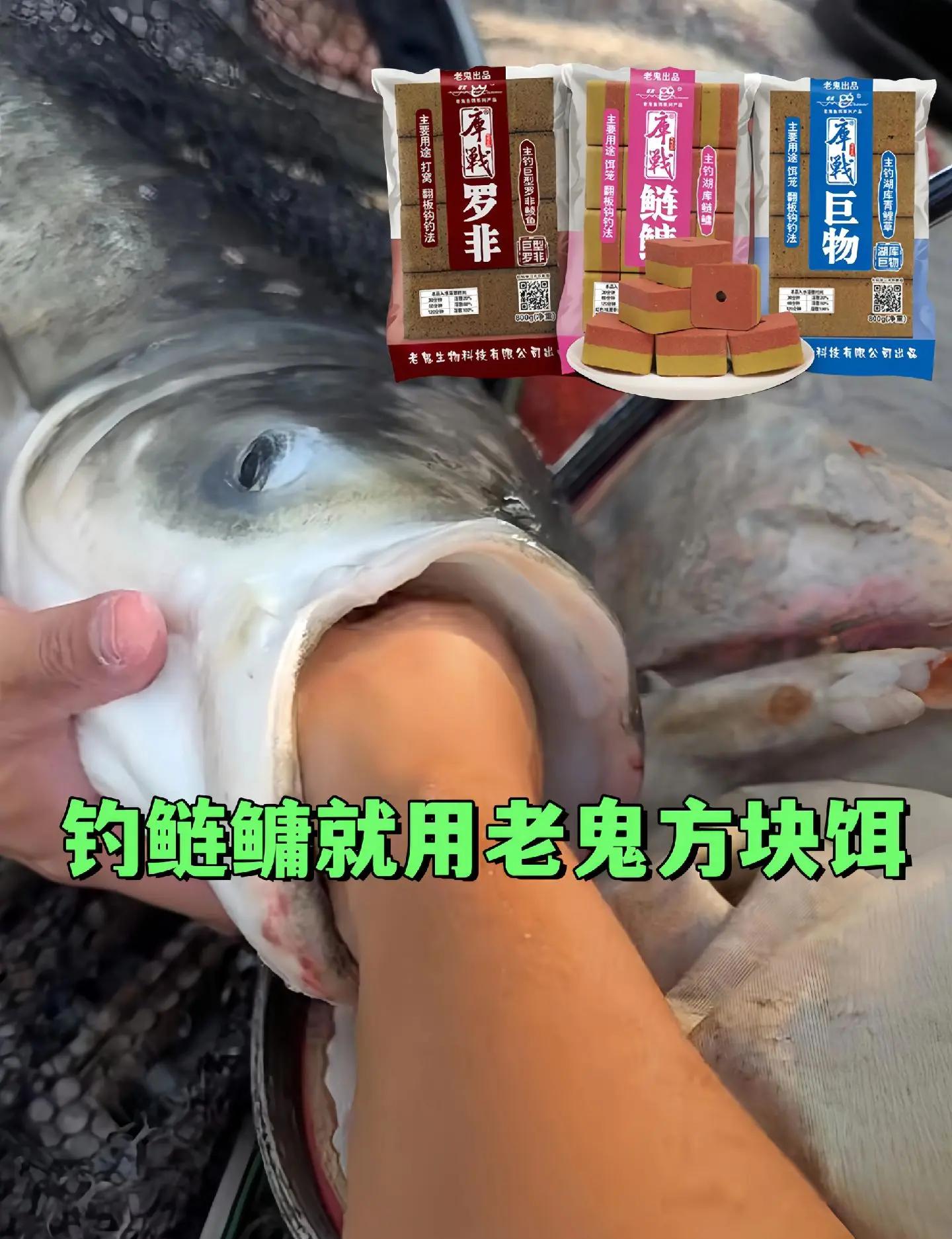 易战饵料(易龙饵料)