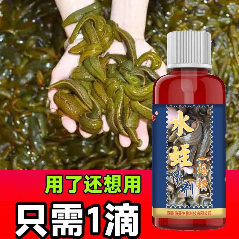 小水蛭饵料(水蛭饵料批发)