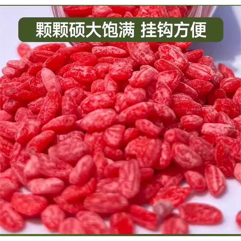 逗钓饵料(逗钓钓鱼)