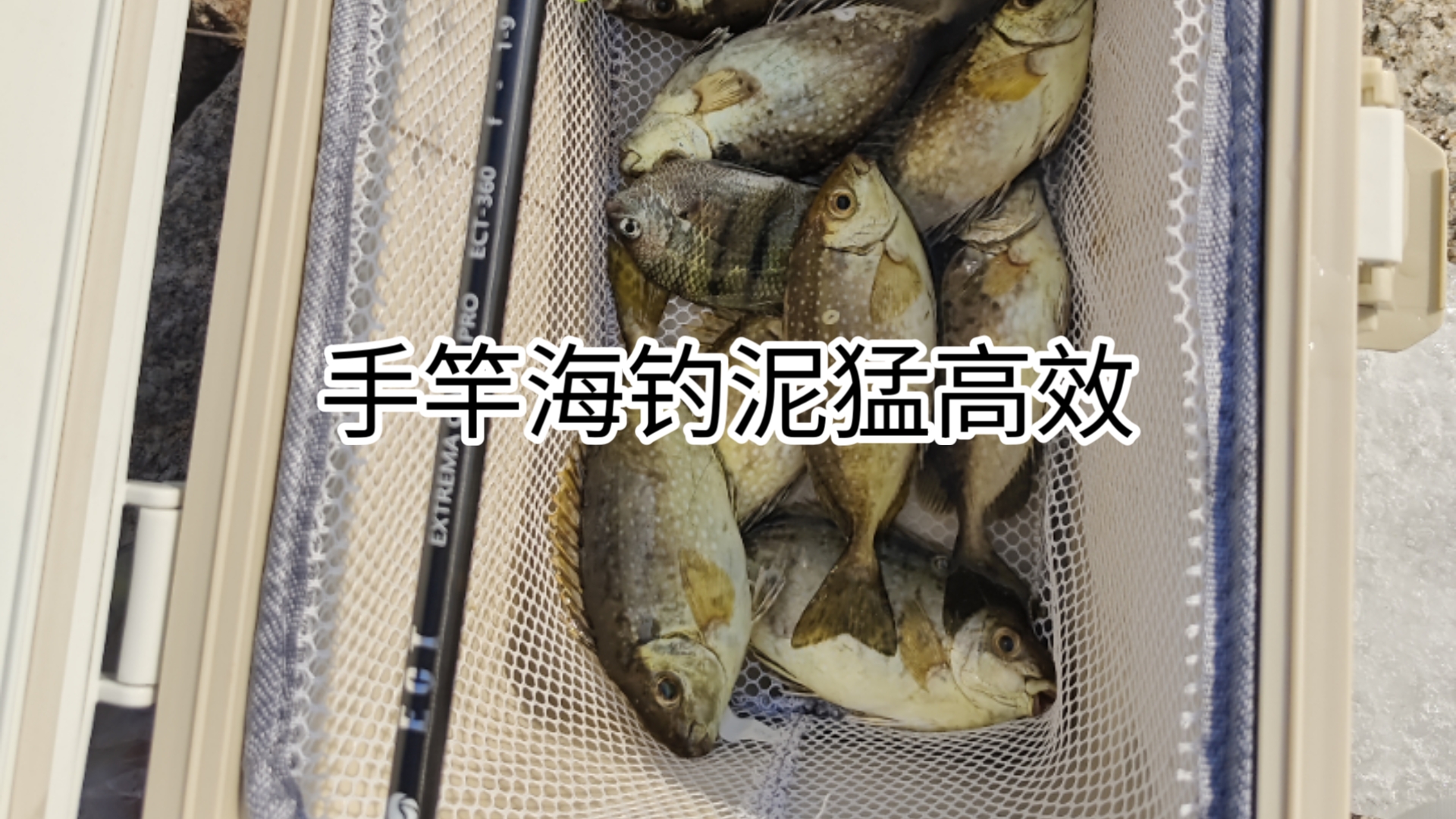 手竿海钓攻略(手竿海钓攻略图解)