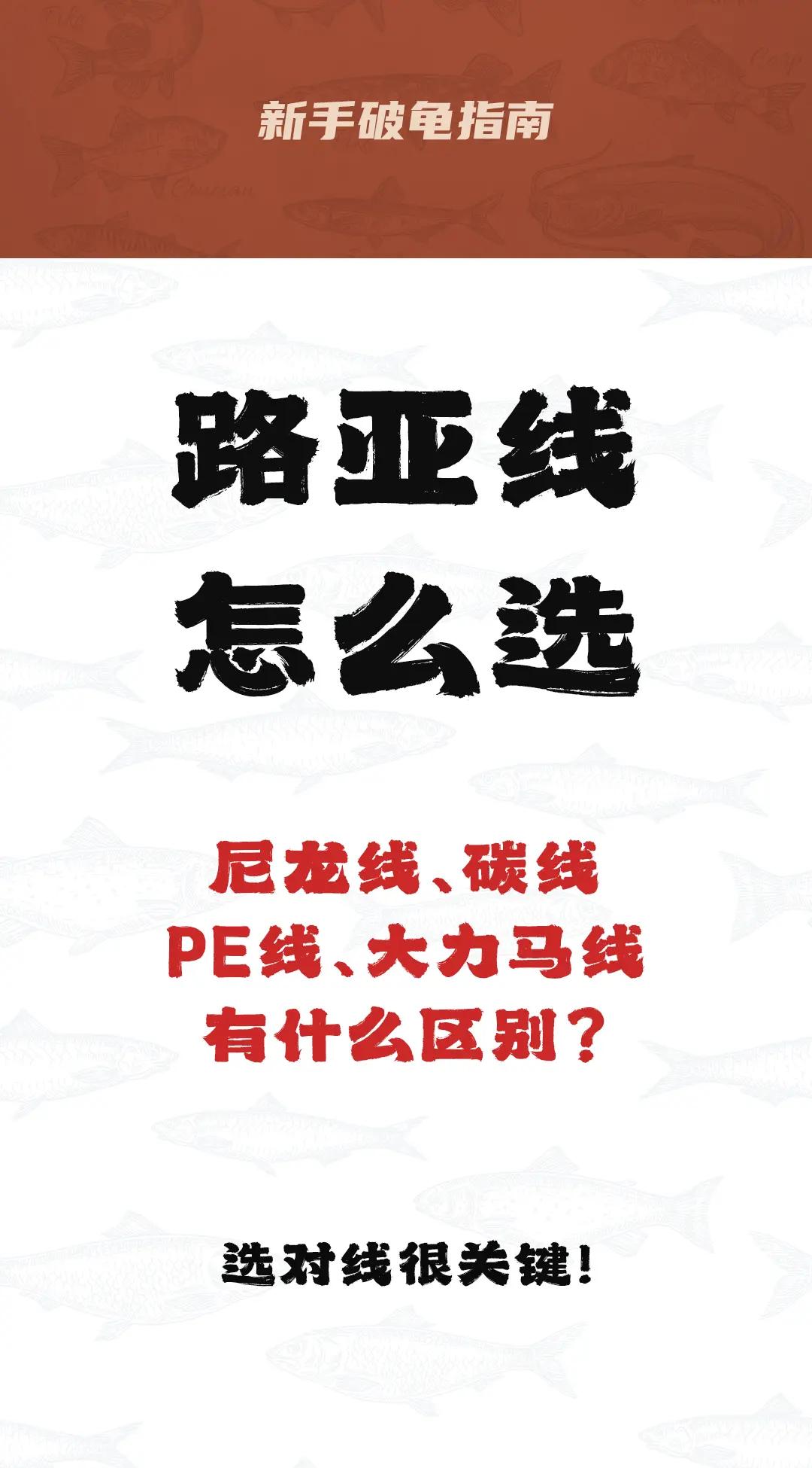 路亚多长的线(路亚多长的线合适)