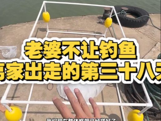 网箱边上钓鱼技巧(网箱钓鱼视频)