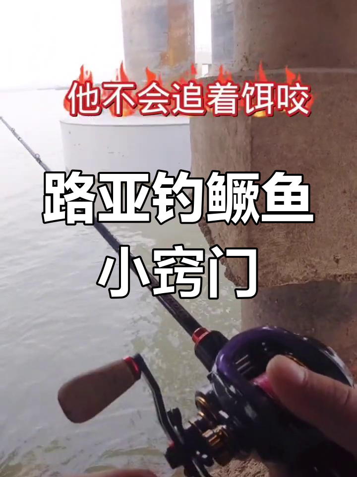 桂鱼路亚技巧(路亚桂鱼的操作手法)