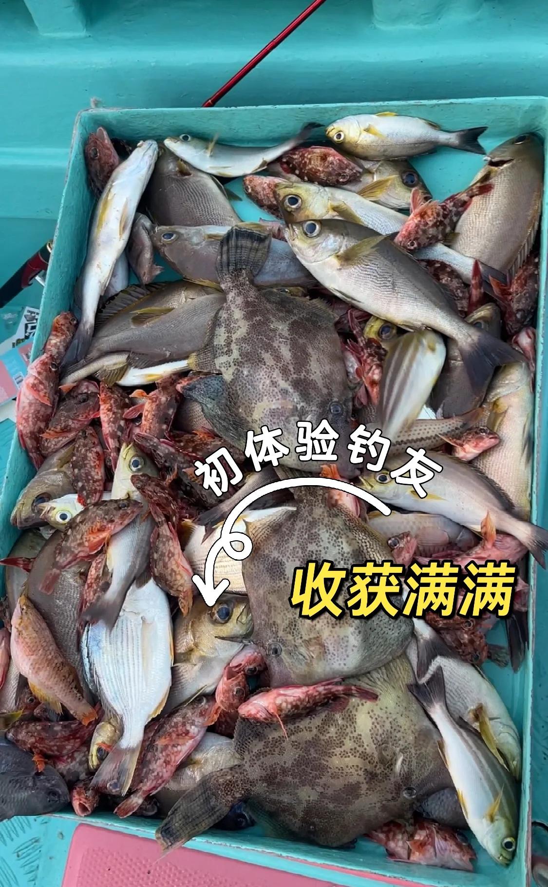 海钓鱼视频攻略(海钓鱼视频攻略)
