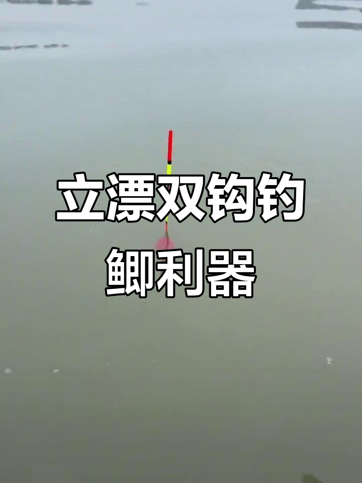 冬季钓鲫鱼用漂技巧(冬季钓鲫鱼选漂技巧)