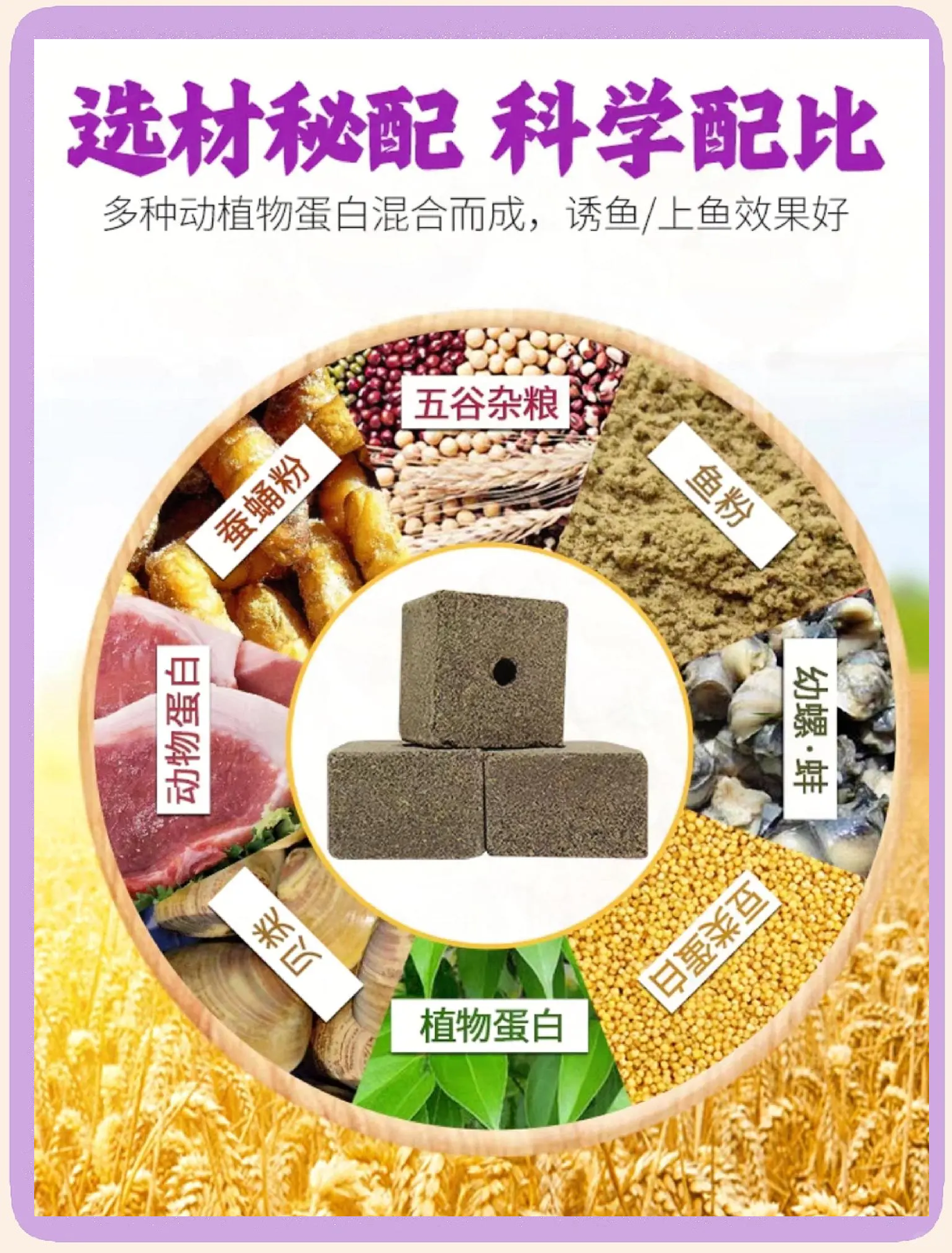 发酸的饵料能用吗(发酸的窝料诱鱼怎么样)