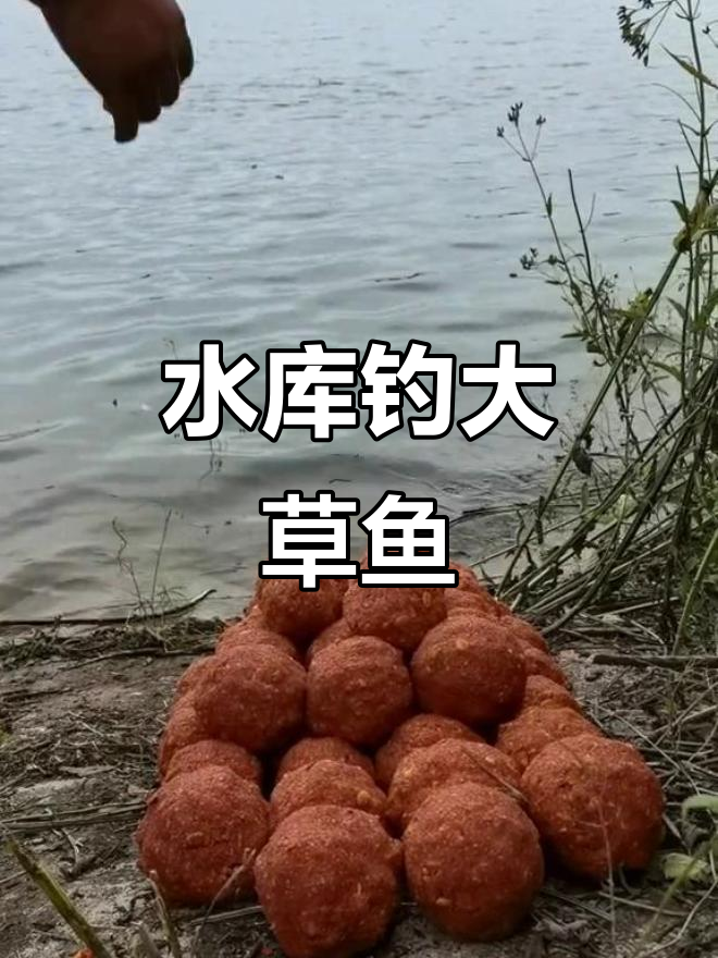 春分水库钓草鱼技巧(春分水库钓草鱼技巧图解)