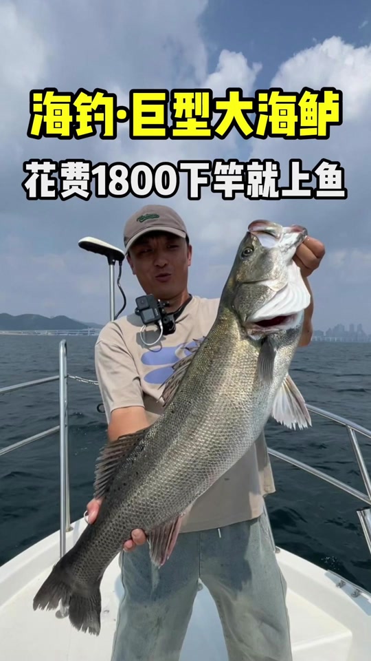 鱼排手线海钓技巧(鱼排手线海钓技巧视频)