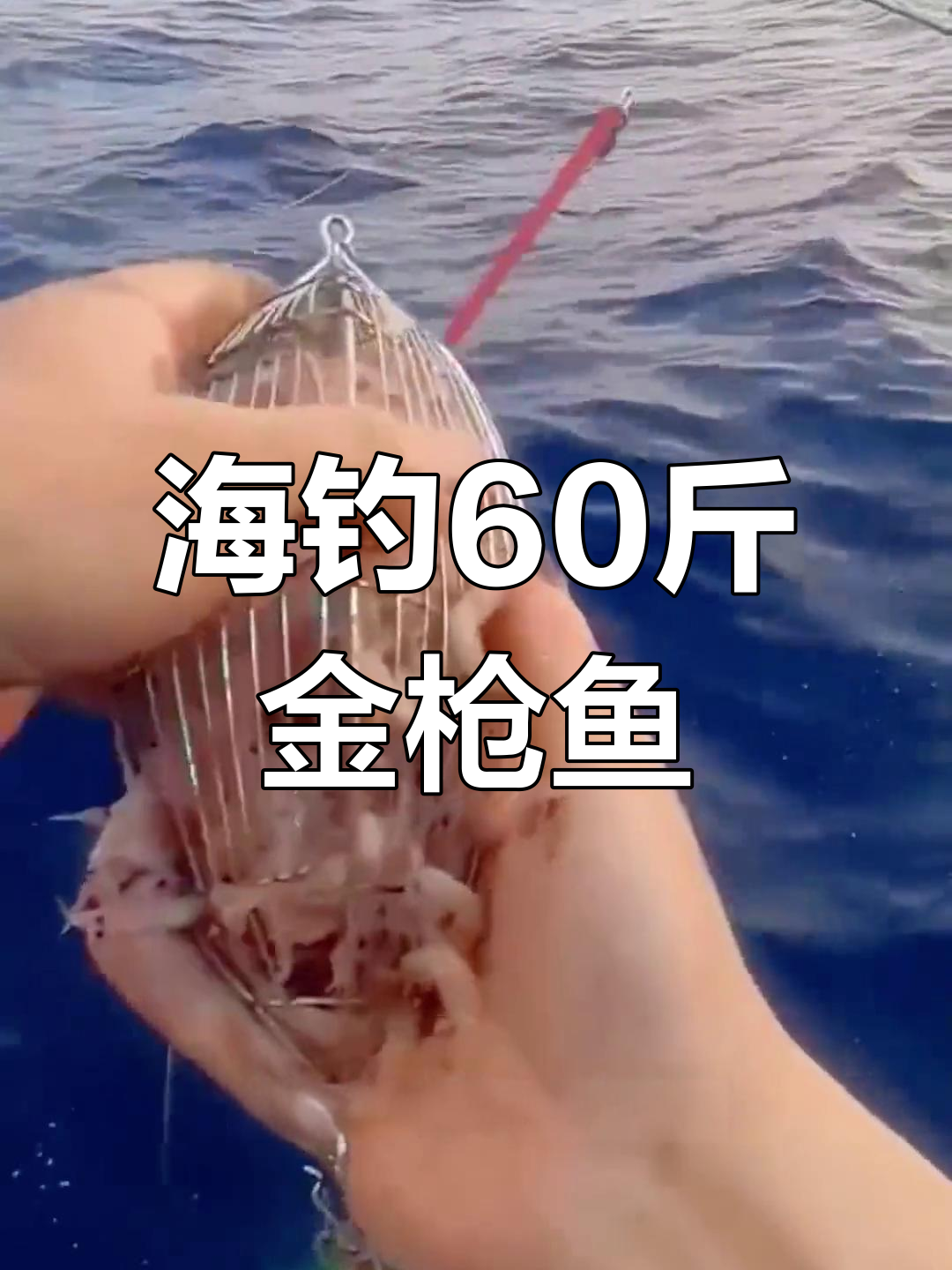 海钓基础教学视频(海钓入门篇二)
