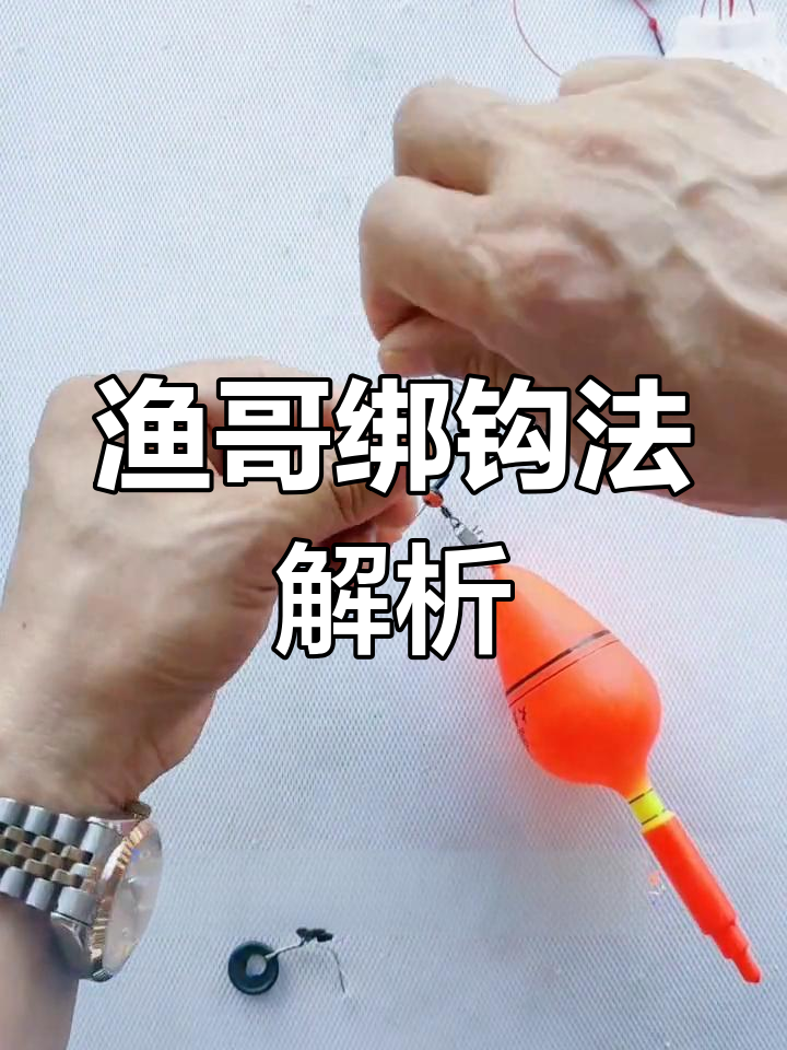 鲢鳙技巧(鲢鳙怎么钓鱼)