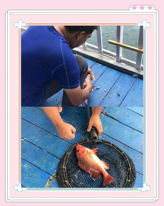 大鹏海钓收费(大鹏海边钓鱼)