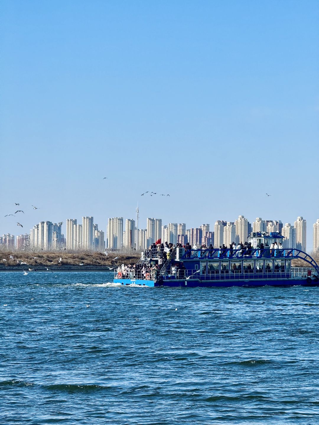天津大桥海钓地点(天津海河上的大桥)