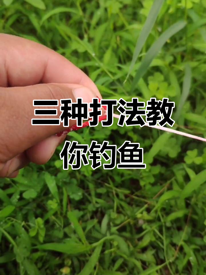 看鱼稍技巧(看鱼有什么用)