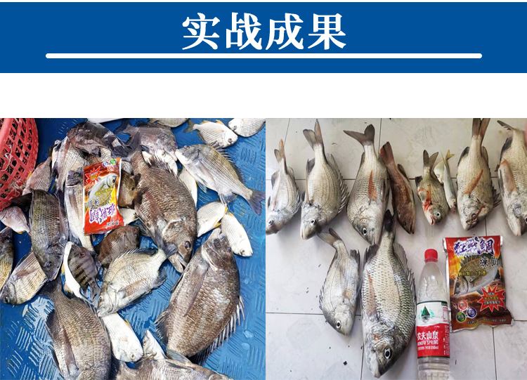 腌制泥猛饵料(泥猛鱼面饵怎么制作)