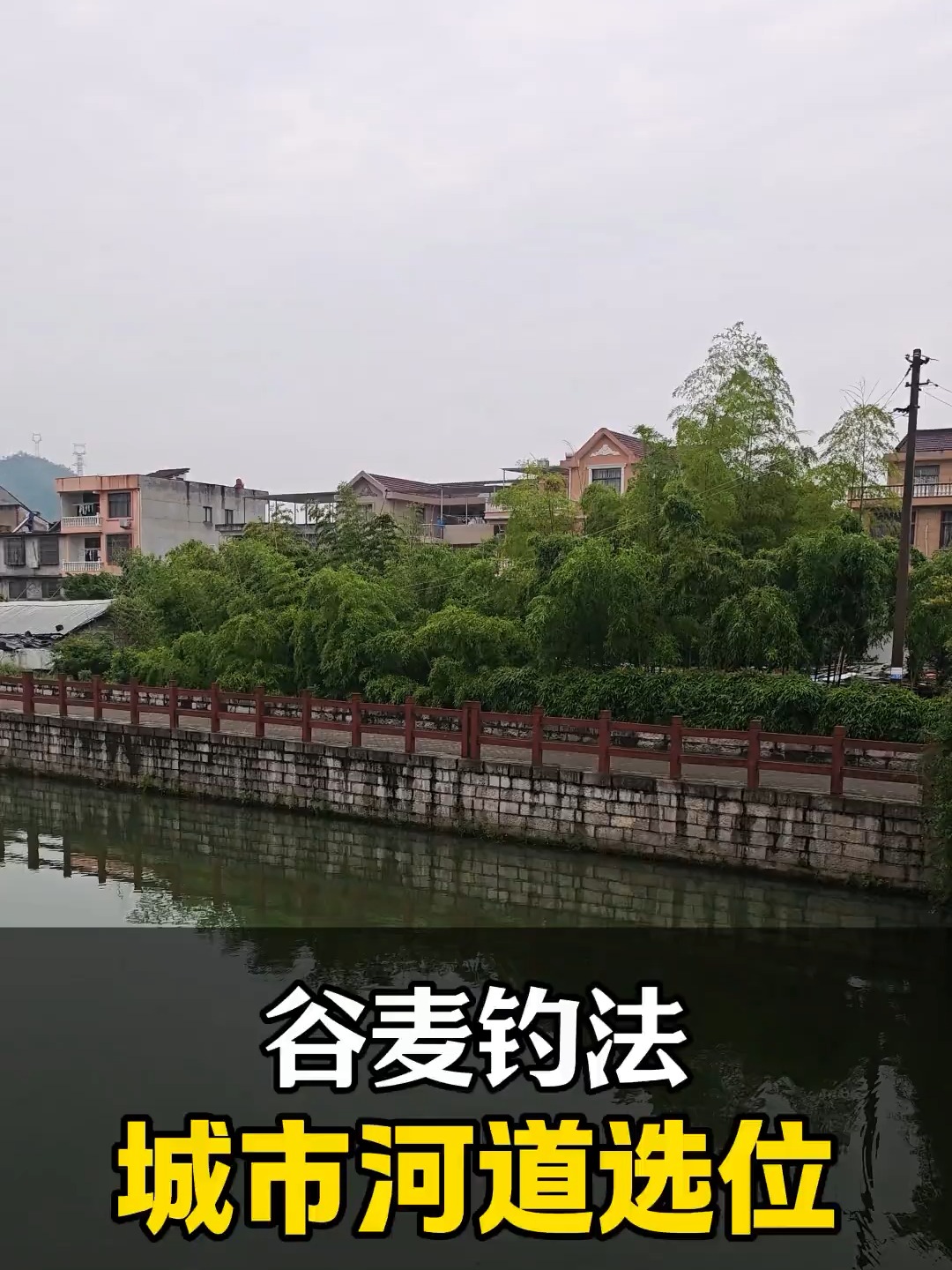 冬钓谷麦技巧(冬钓谷麦技巧视频教程)