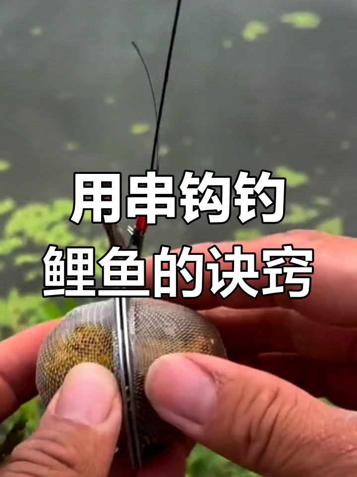 流水串钩钓鲫鱼技巧(流水串钩钓鲫鱼技巧图解)