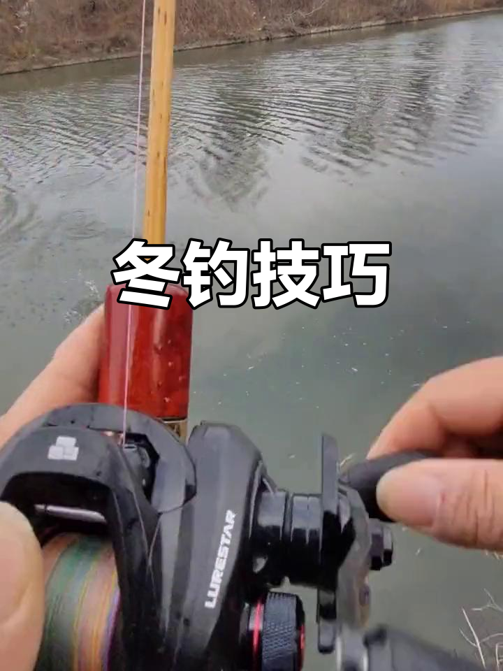 轻口钓鱼技巧(轻口鱼调漂调几目钓几目)