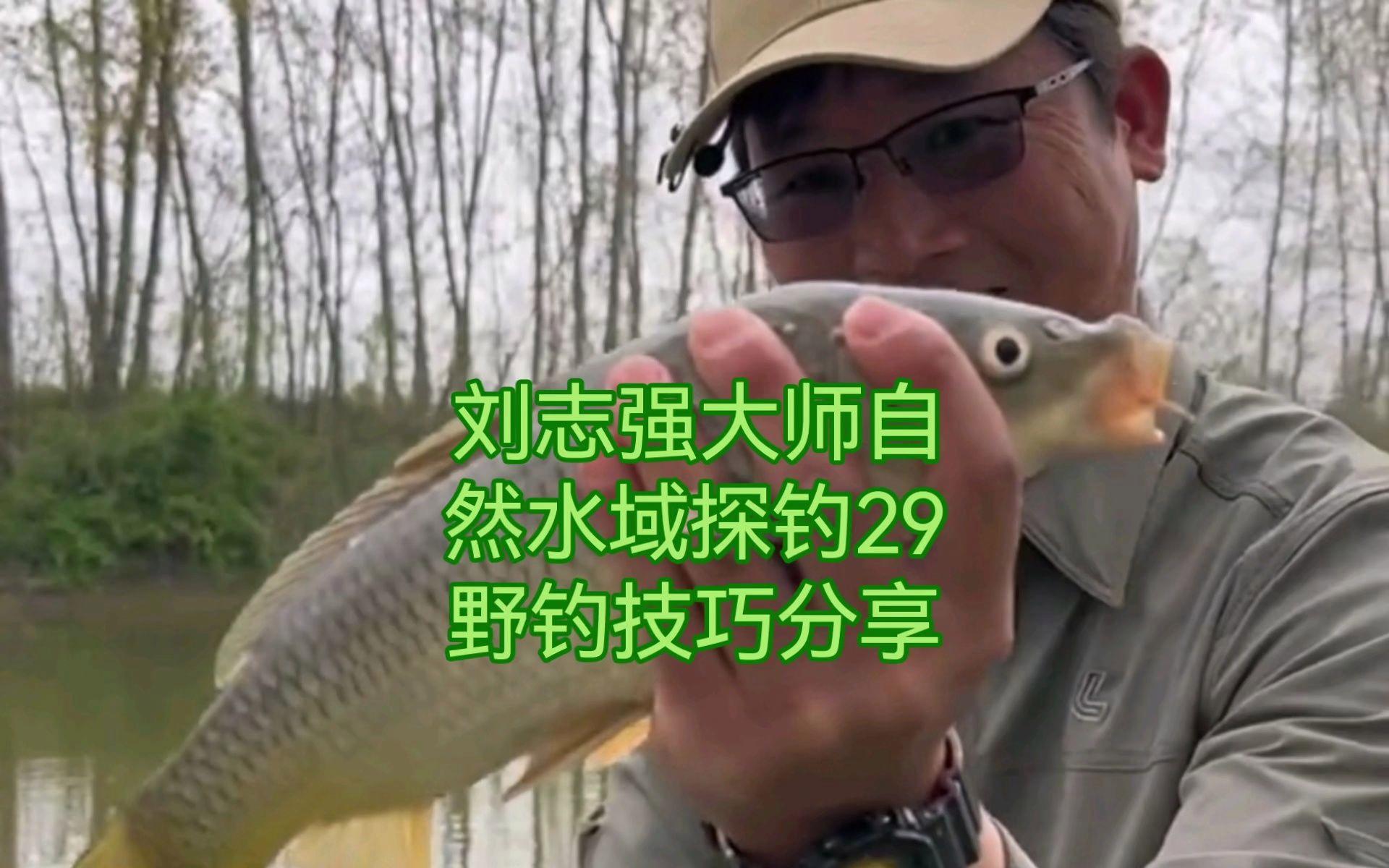 自然水域野钓鱼技巧(自然水域调几钓几最好)