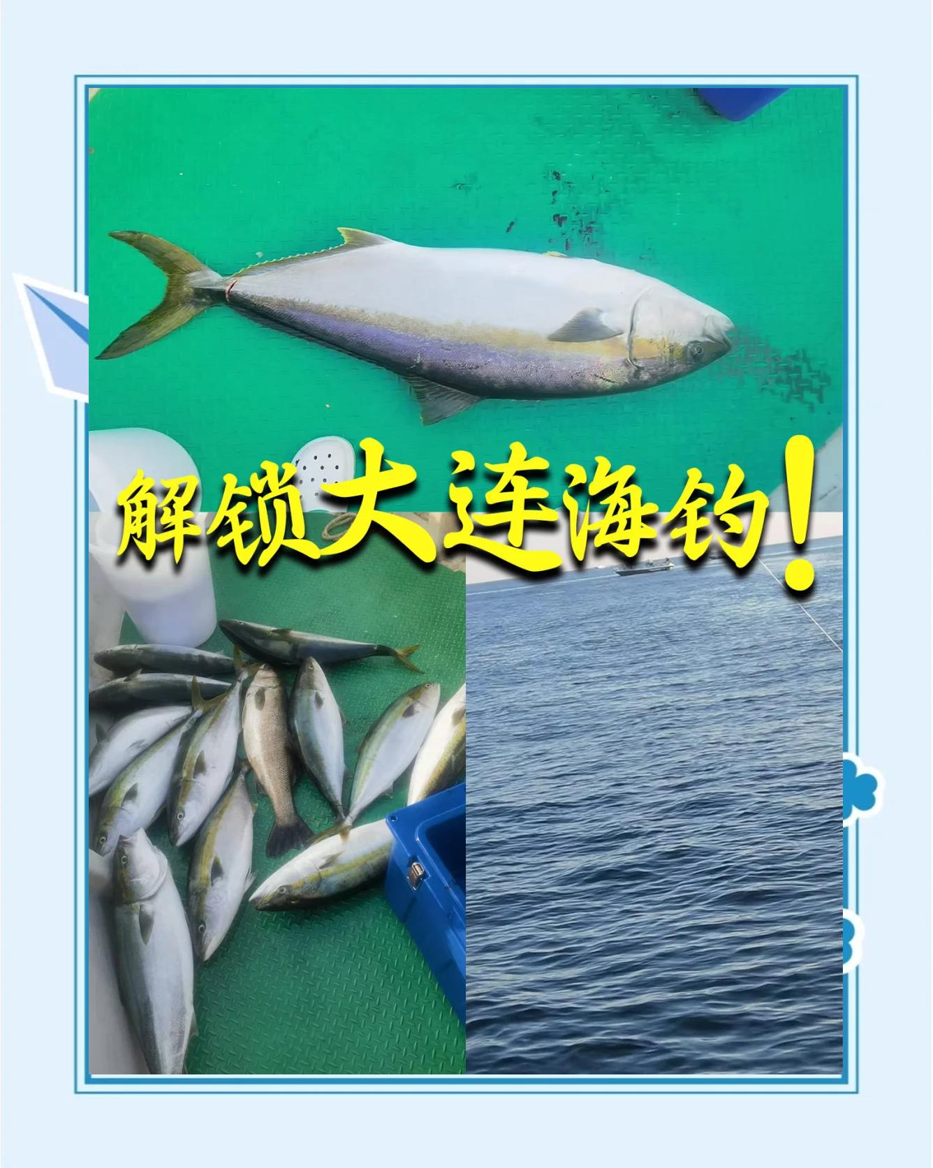 大连海钓论坛(大连海钓论坛官网)