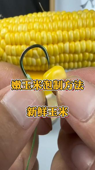 自制草鱼玉米饵料配方(自制草鱼玉米饵料配方表)