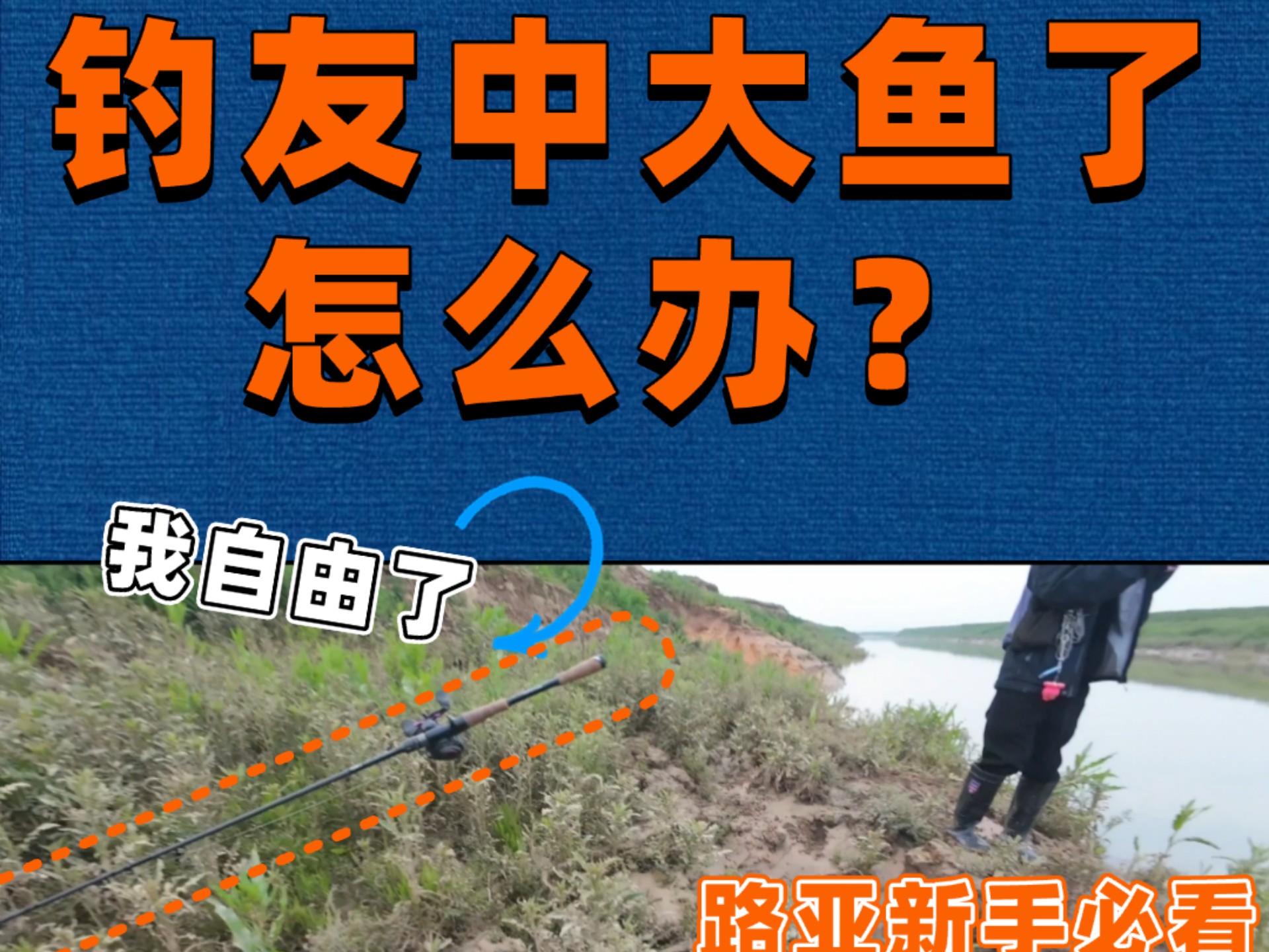 海竿野钓鲶鱼技巧(海竿钓鲶鱼用单钩还是串钩)