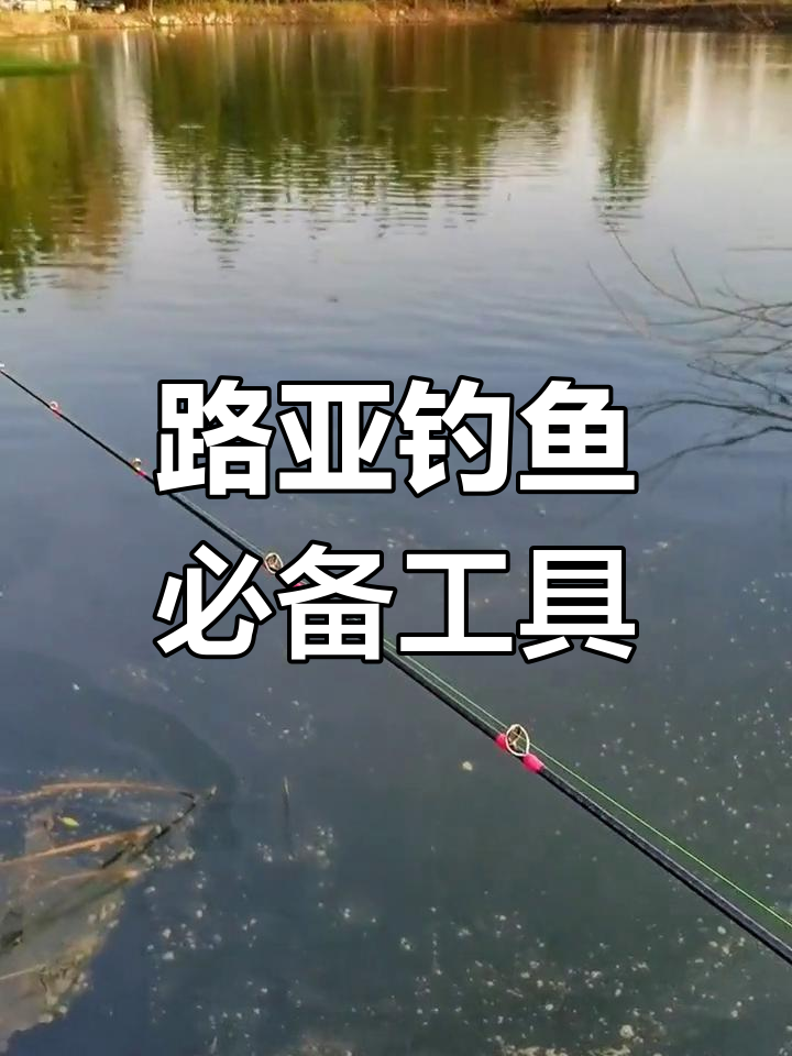 路亚各种鱼技巧视频(路亚现场教学视频)