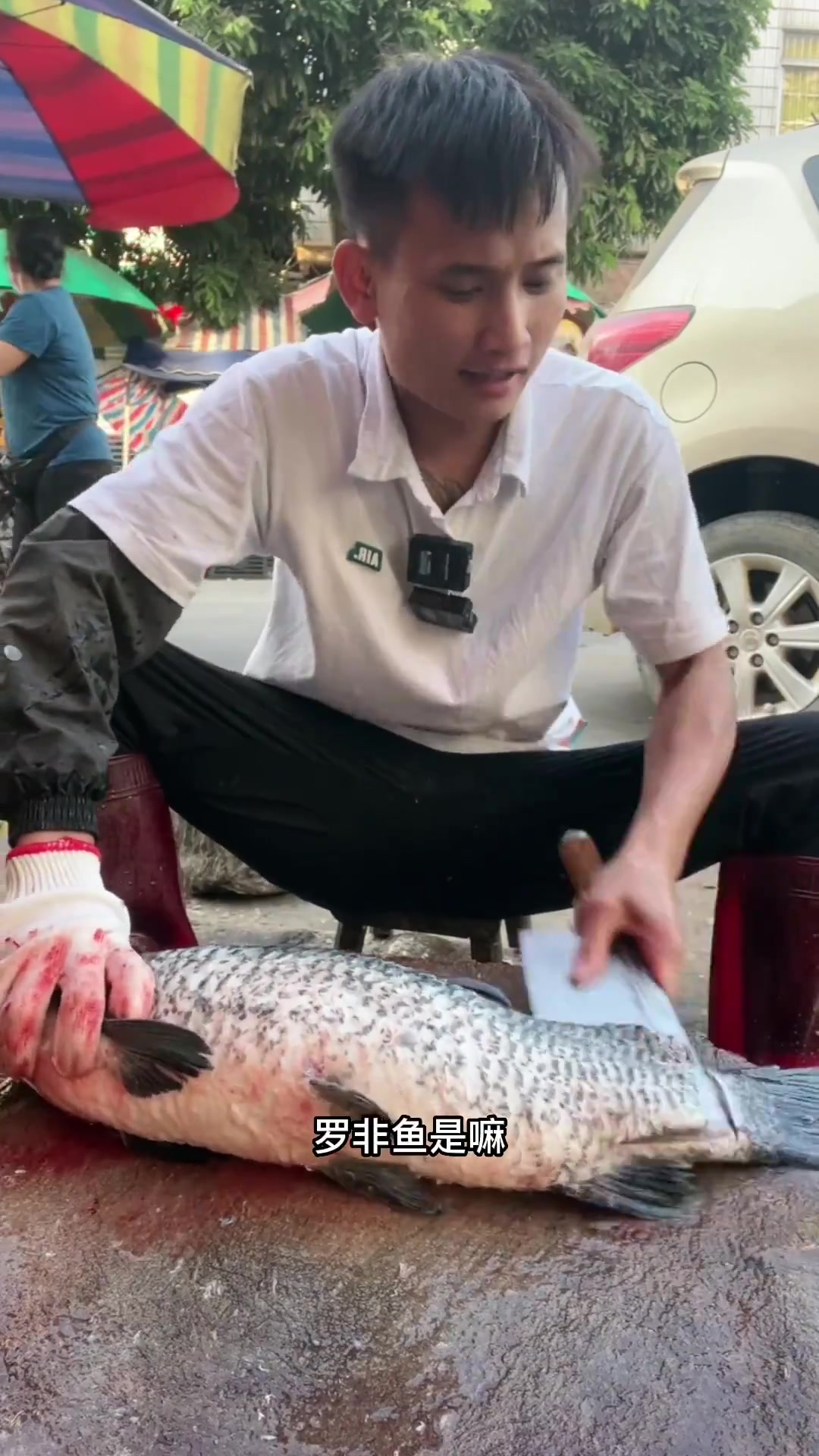 黑坑钓黑皖鱼技巧(黑坑偷驴调漂三个最佳方法)