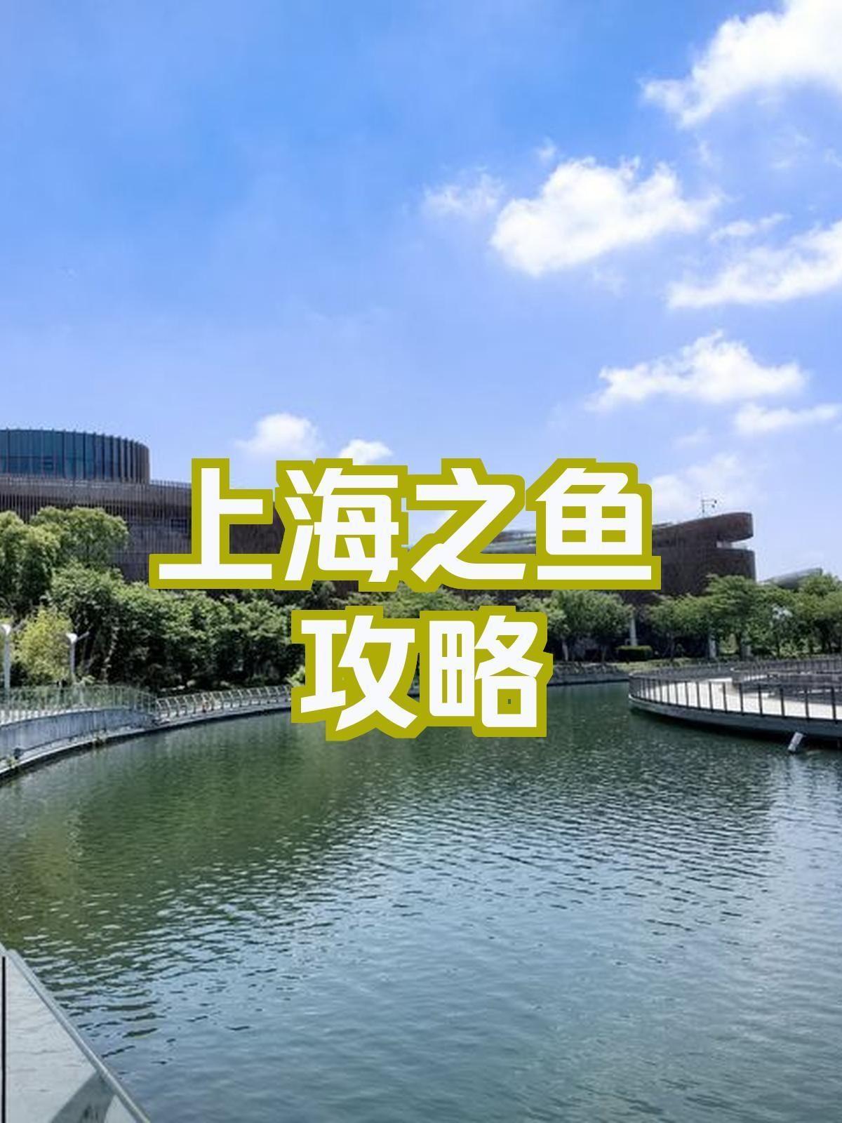 上海钓海鱼的地方(上海钓海鱼的地方有哪些)