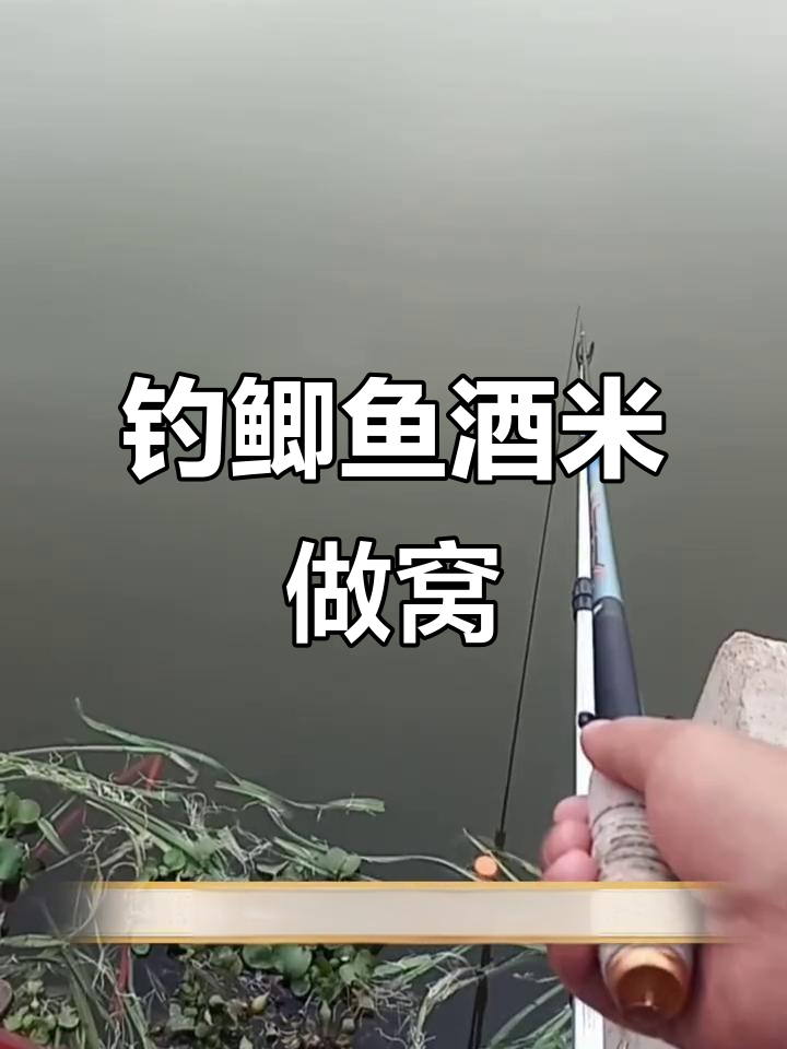 酒米技巧(酒米怎么配制)