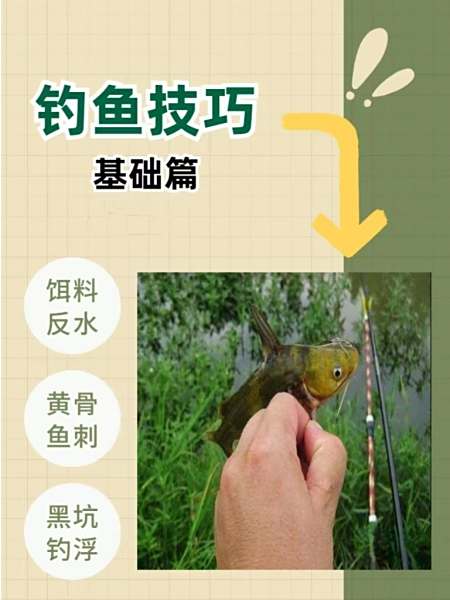 黑坑调水技巧(黑坑调水技巧图解)