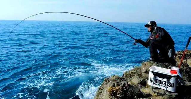 皇海钓梭鱼怎么钓(海钓梭鱼的最佳钓组)