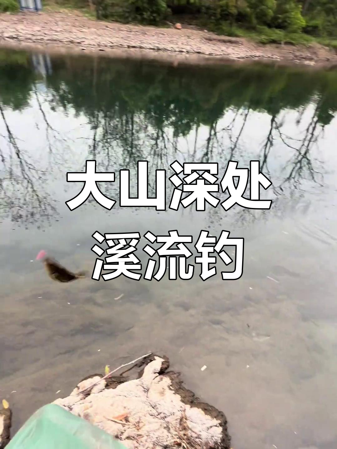 南方冬天小溪钓鱼技巧(池塘或小溪钓鱼技巧)