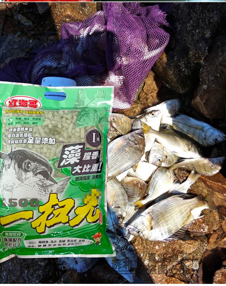 咸淡水钓鱼饵料(咸淡水用什么钓)