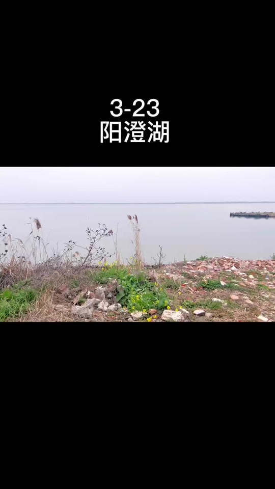 阳澄湖可以路亚(阳澄湖路亚钓鱼攻略)