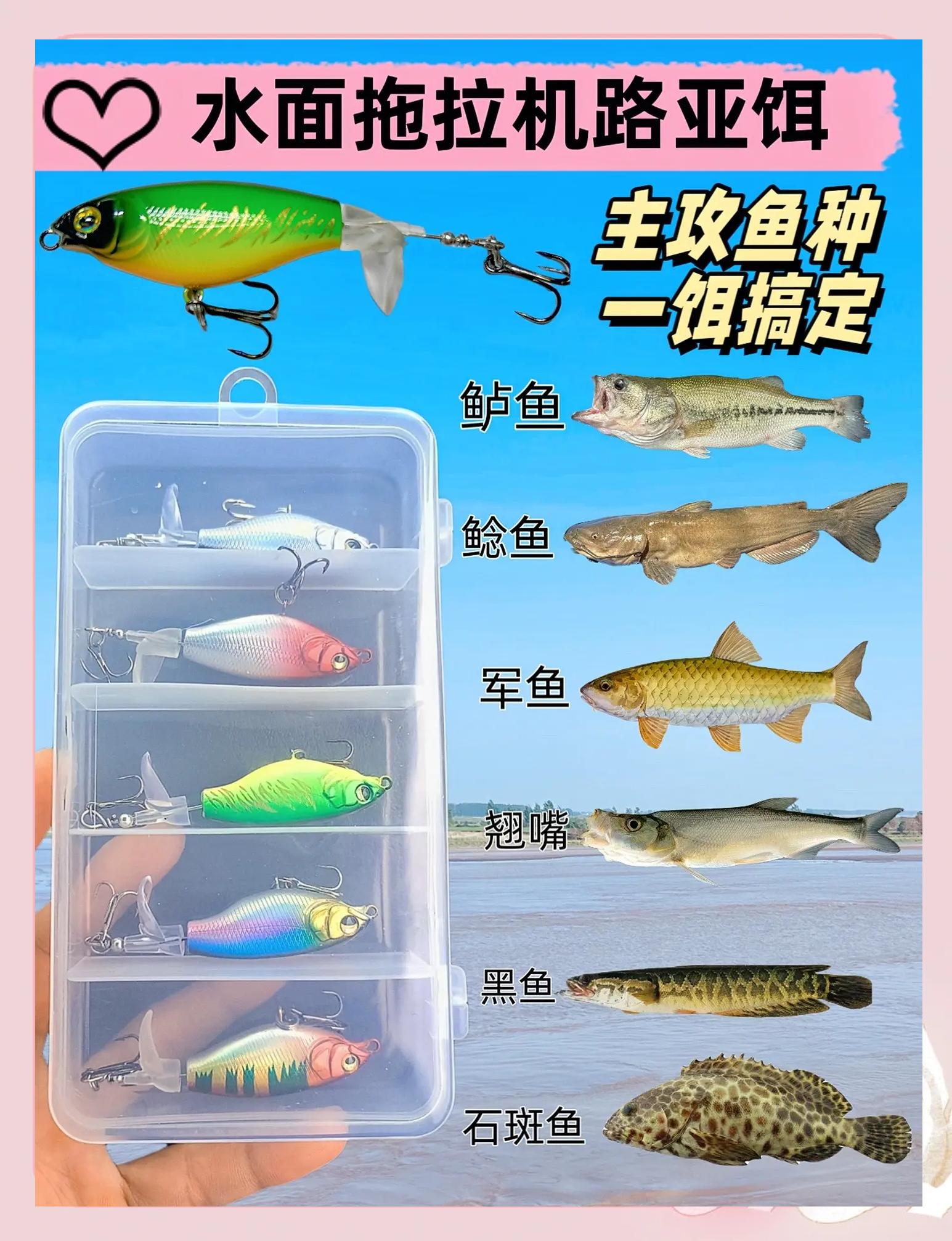 路亚餌(路亚假饵四种就够了)