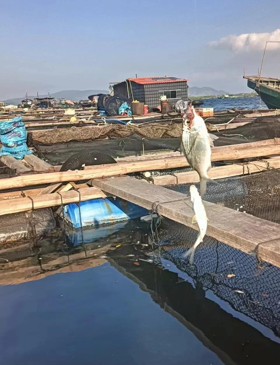 海钓好季节(海钓季节风向)