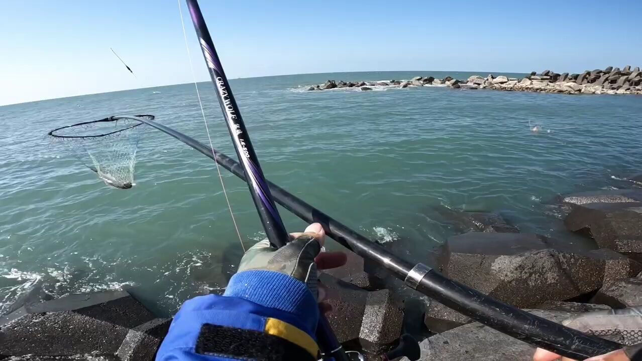 冬天可以海钓吗(冬天可以钓海竿嘛)