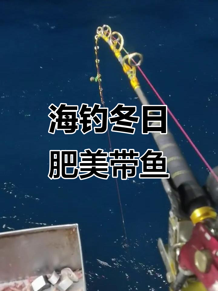 冬天可以海钓吗(冬天可以钓海竿嘛)