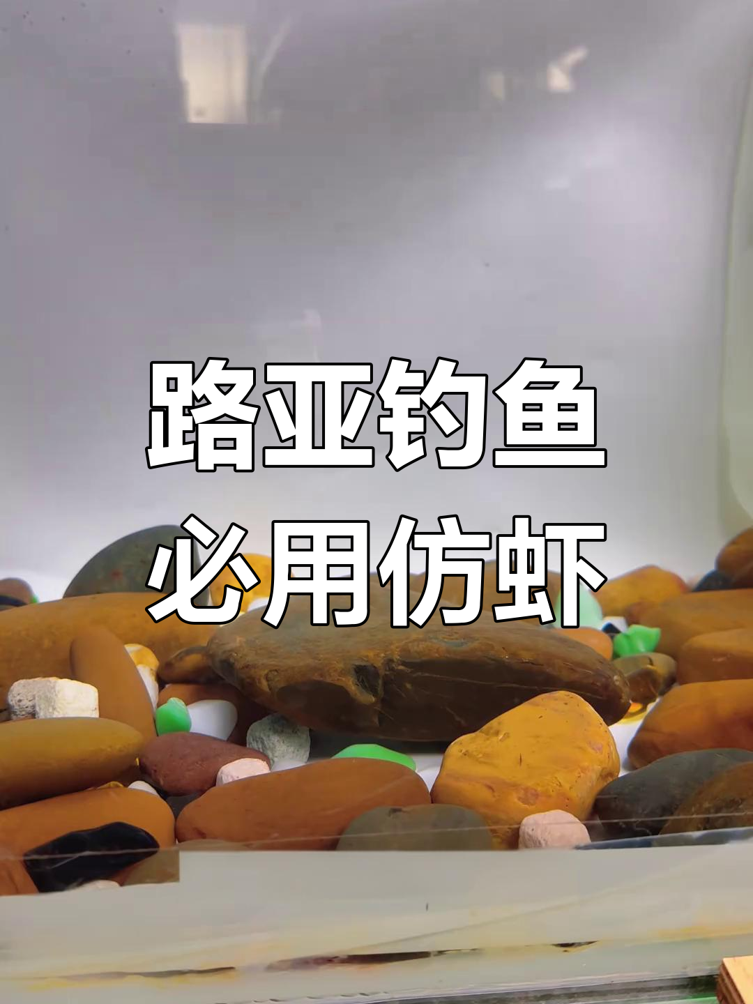 路亚钓虾(路亚钓虾用什么饵料)