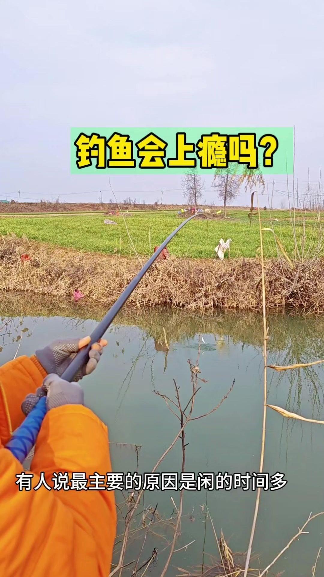 野外库钓技巧(野外钓鱼技巧)