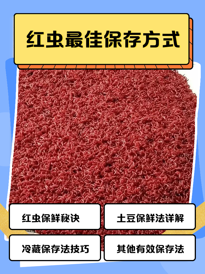 饵料怎么保存(饵料怎么保存到第二天)