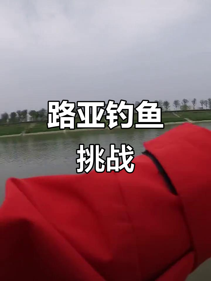 四海钓鱼路亚(四海钓鱼路亚节目)