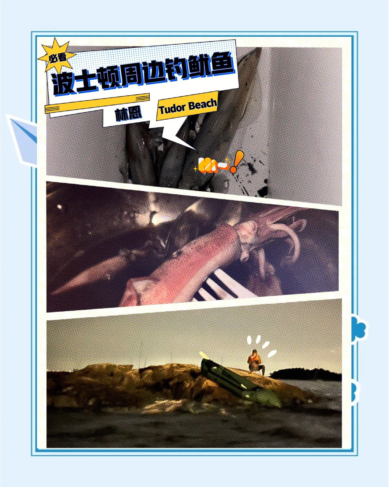 怎么海钓鱿鱼(海钓鱿鱼技巧)