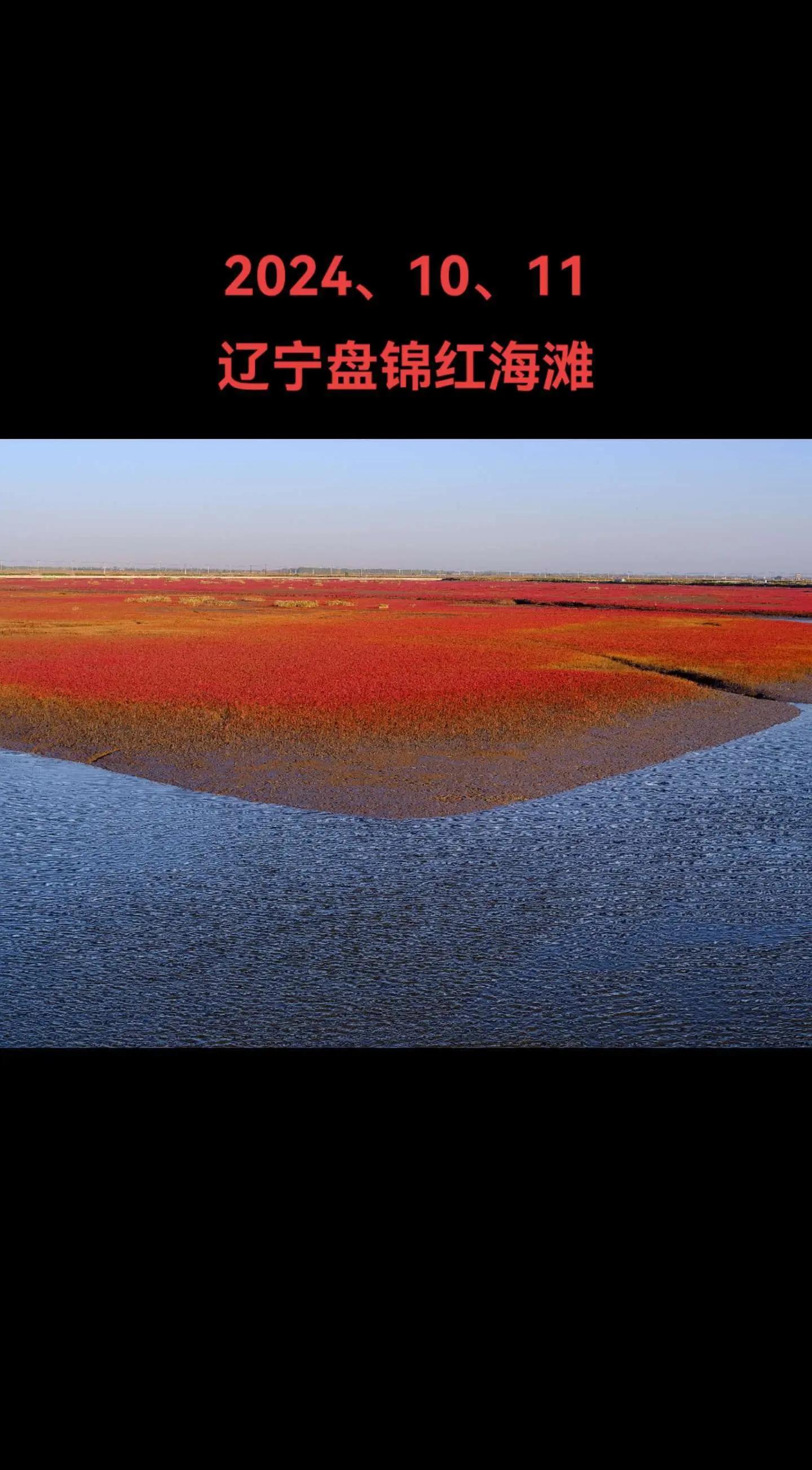 盘锦海钓地方(盘锦野钓好地方)