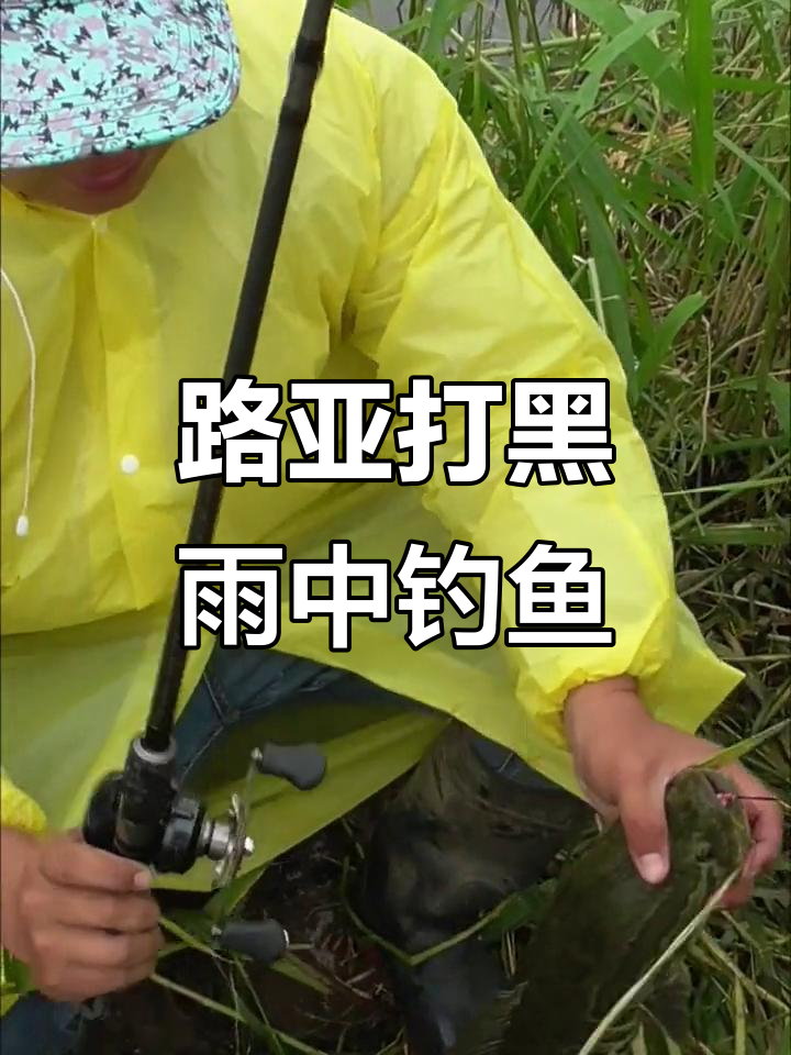 下雨适合路亚(下雨适合路亚翘嘴吗)