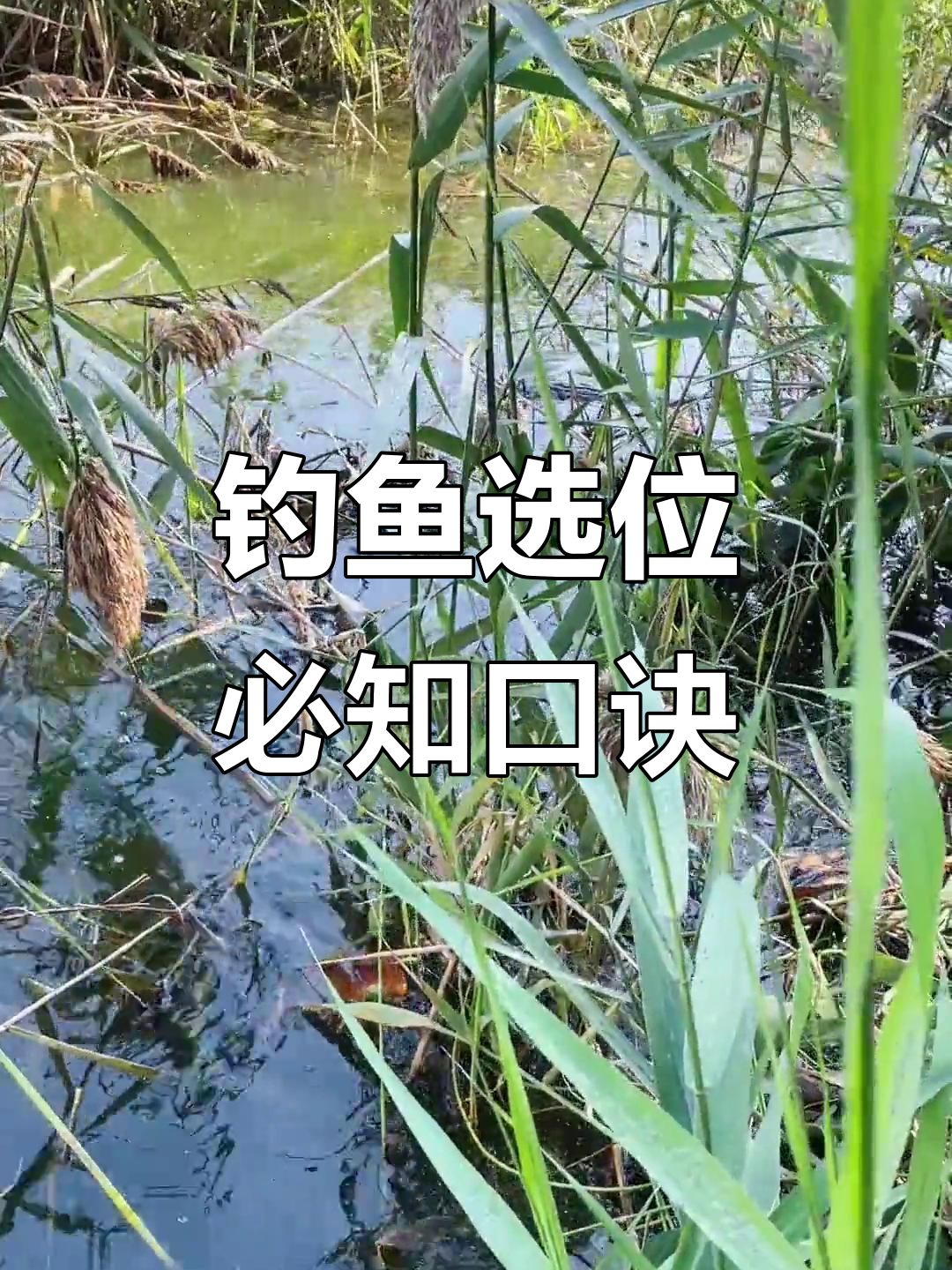 钓鱼找钓位技巧图解(钓鱼找位置)