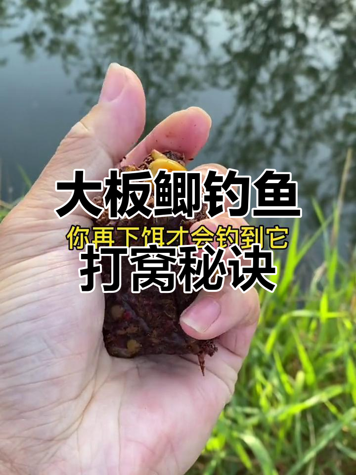 邓刚钓大鲫鱼饵料配方(钓鱼大师邓刚钓鲫鱼视频)
