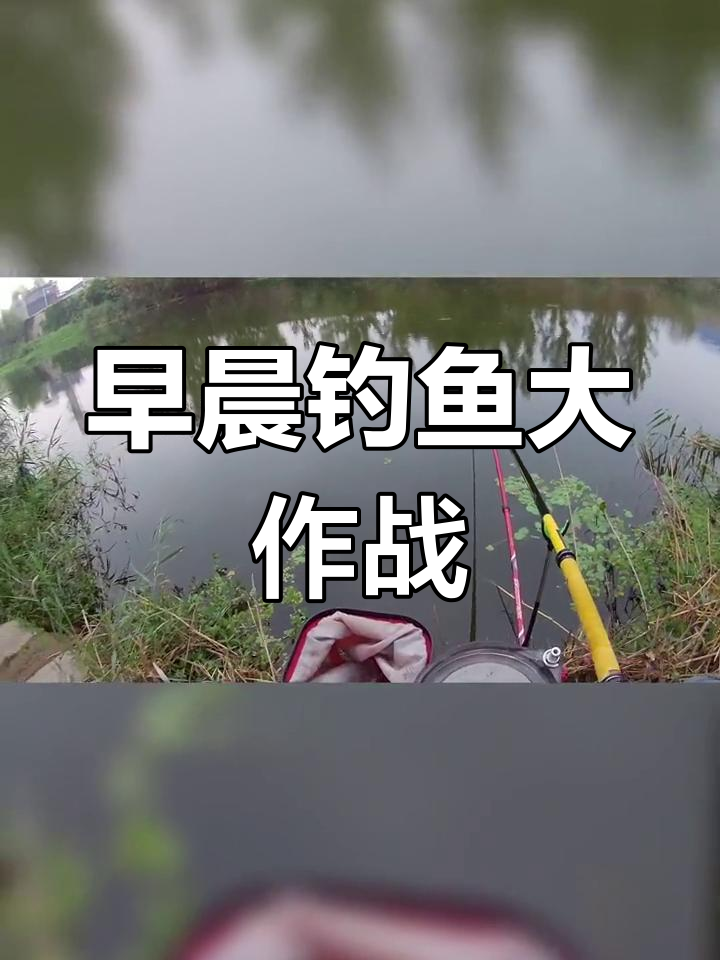 上海松江野河钓鱼技巧(松江野钓地点2017汇总)