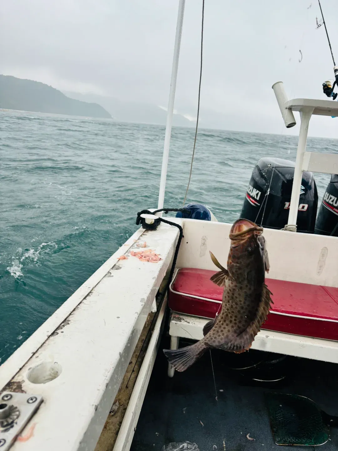 钦州海钓(钦州海钓最佳区域)