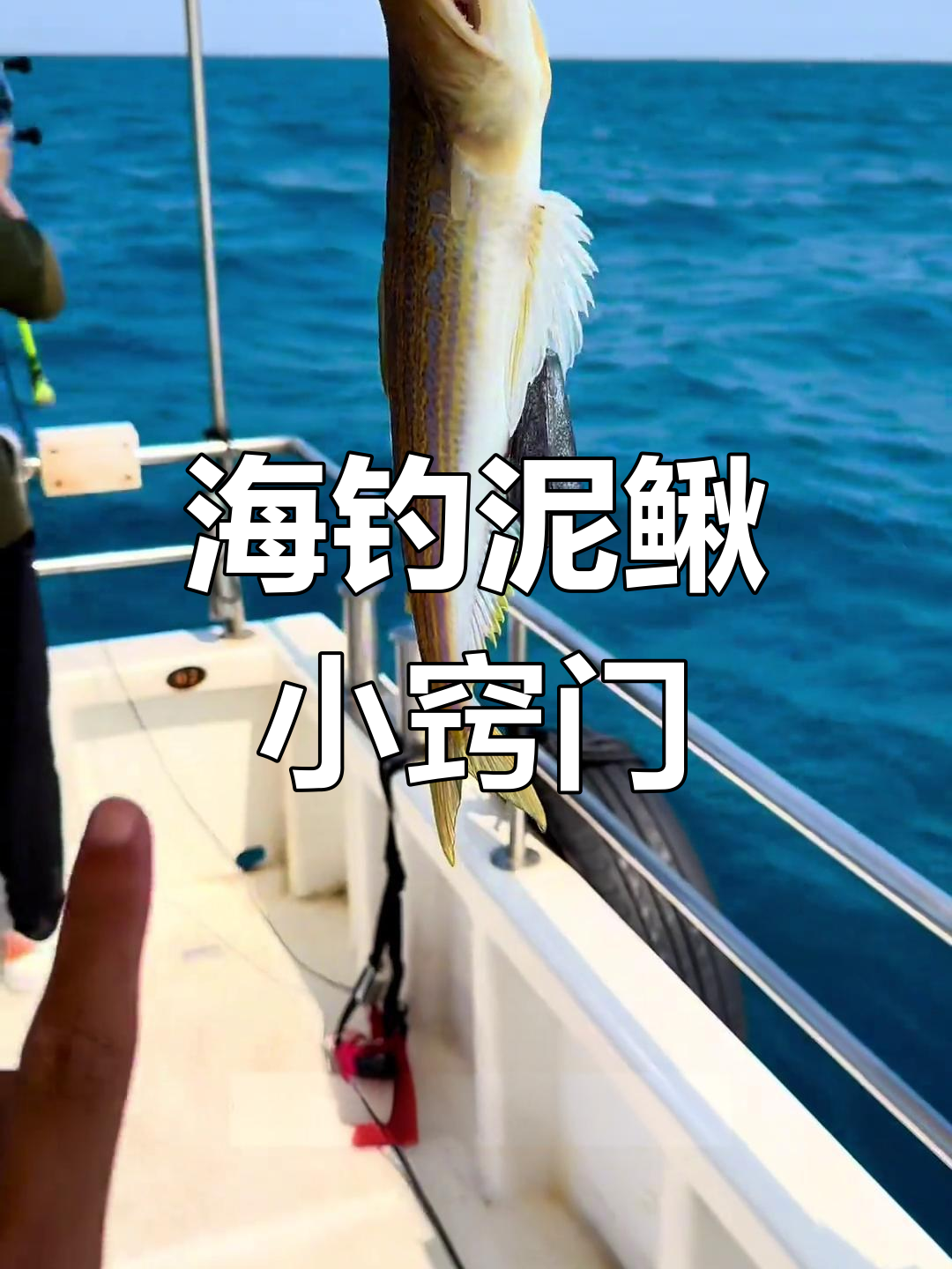 抓海鱼最好技巧(抓海鱼最好技巧是什么)